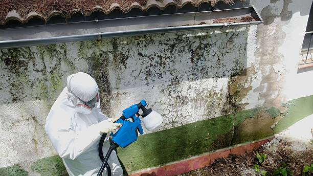 Top rated local Mold Remediation specialists in Montgomeryville, PA